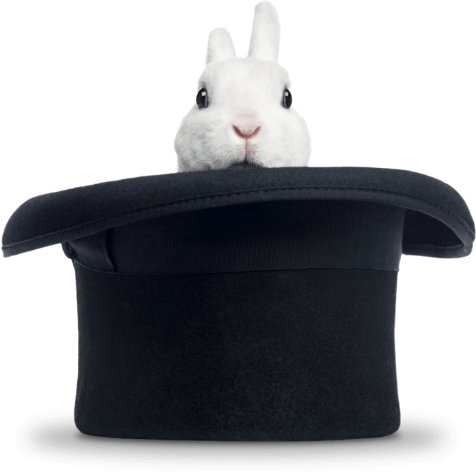Rabbit in a hat