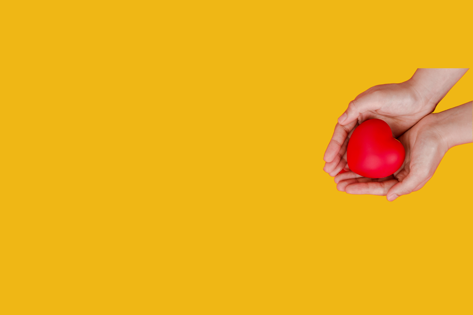 Two hands holding a red heart on a yellow background for a charity specialist.